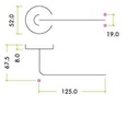 Radius Lever - Push on Rose 19mm Dia. SS