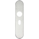 ZCSIP Long Radius Cover Plate 48.5mm Oval Lock 50 x 230mm SS