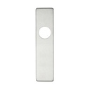 ZCSIPSP Short Cover Plate - Latch 45 x 180mm SS