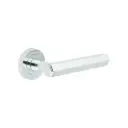 BR Hex Door Handles on Round Rose 223 
