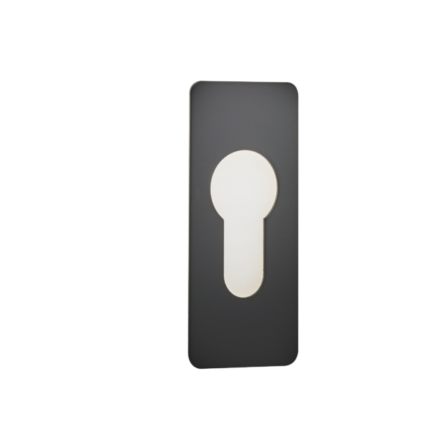 Repair Euro Escutcheon Small adhesive 65 x 28 x 1.2mm