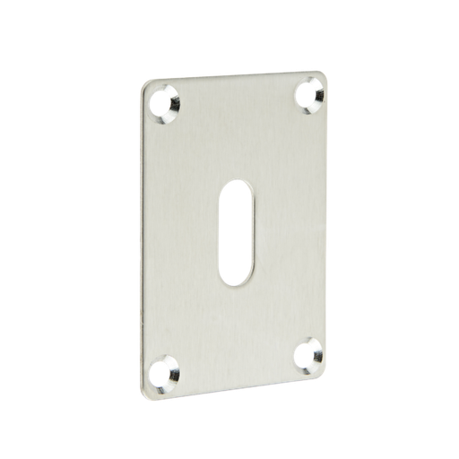 [ESFLKSS4SF] Repair Key Escutcheon Screw Fixed 65 x 47 x 1.2mm